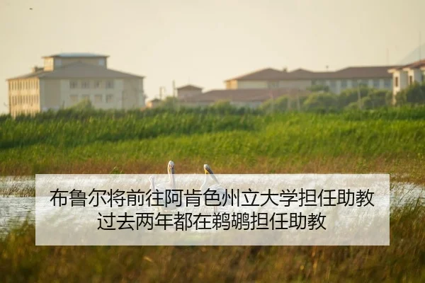布鲁尔将前往阿肯色州立大学担任助教 过去两年都在鹈鹕担任助教